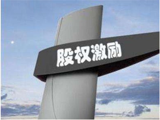 創(chuàng)業(yè)公司股權(quán)激勵的問題 創(chuàng)業(yè)公司股權(quán)激勵的問題