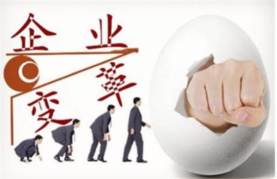 澤亞咨詢之萍鄉(xiāng)廣嶸管理變革總結(jié)報告 ——廠長的變革自白