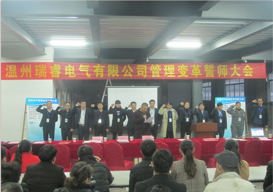 在澤亞的輔導(dǎo)下，瑞睿電氣管理流程再造并打造了激勵(lì)體系