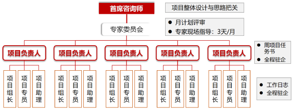 三級(jí)咨詢(xún)服務(wù)管理體系