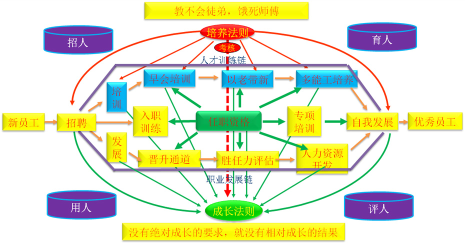 人才訓練模型圖
