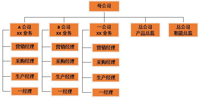 集團(tuán)化組織架構(gòu)
